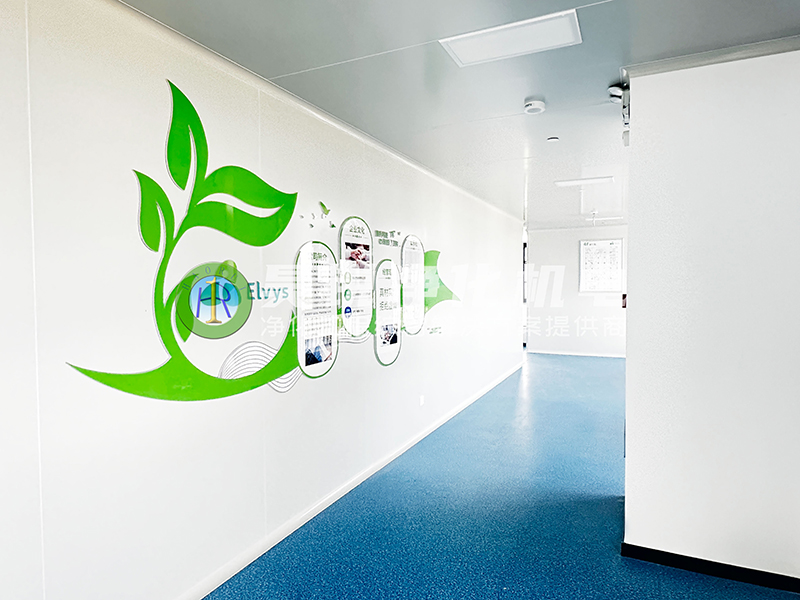 合肥艾維司生物保健品凈化車間 (4)